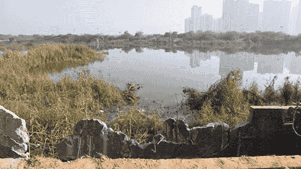 Noida techie death: Truck driver who survived accident at same spot weeks earlier says police ‘did nothing’